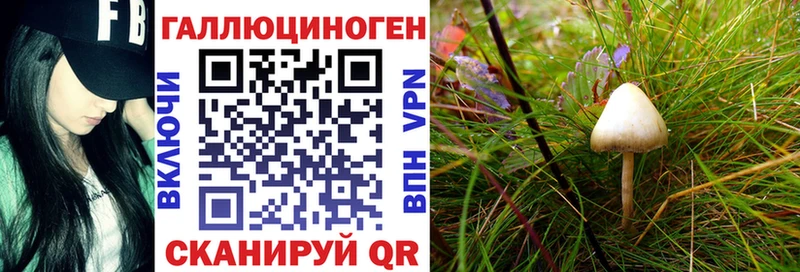 Галлюциногенные грибы прущие грибы  наркошоп  Жердевка 